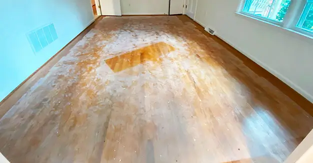 Hardwood floor buff and coat service front view